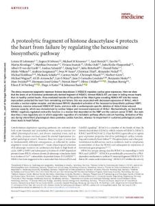 nm.4452-A proteolytic fragment of histone deacetylase 4 protects the heart from failure by regulating the hexosamine biosynthetic pathway