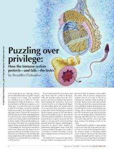 nm0118-2-Puzzling over privilege- How the immune system protects—and fails—the testes