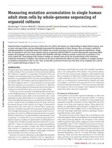 nprot.2017.111-Measuring mutation accumulation in single human adult stem cells by whole-genome sequencing of organoid cultures