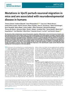 nn-2018-Mutations in Vps15 perturb neuronal migration in mice and are associated with neurodevelopmental disease in humans