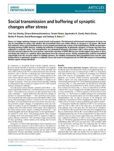 nn-2018-Social transmission and buffering of synaptic changes after stress