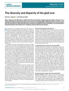 nn-2018-The diversity and disparity of the glial scar