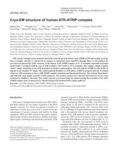 cr2017158a-Cryo-EM structure of human ATR-ATRIP complex