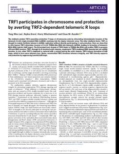 nsmb-2018-TRF1 participates in chromosome end protection by averting TRF2-dependent telomeric R loops