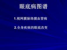 眼底病图谱 ppt课件