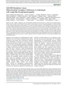 NDUFB8-Mutations-Cause-Mitochondrial-Complex-I-Defic_2018_The-American-Journ