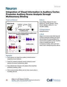 Integration-of-Visual-Information-in-Auditory-Cortex-Promotes-Audit_2018_Neu