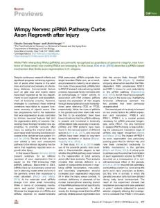 Wimpy-Nerves--piRNA-Pathway-Curbs-Axon-Regrowth-after-Injury_2018_Neuron