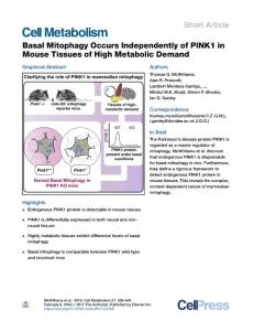 Basal-Mitophagy-Occurs-Independently-of-PINK1-in-Mouse-Tissu_2018_Cell-Metab