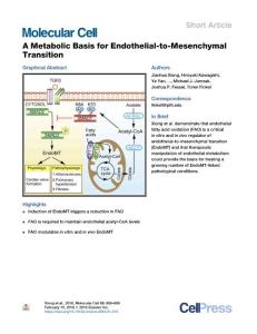 A-Metabolic-Basis-for-Endothelial-to-Mesenchymal-Transiti_2018_Molecular-Cel