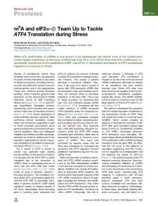 m6A-and-eIF2----Team-Up-to-Tackle-ATF4-Translation-during-_2018_Molecular-Ce