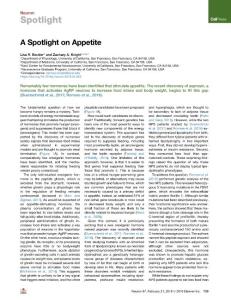 A-Spotlight-on-Appetite_2018_Neuron