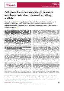 nmat2018-Cell-geometry-dependent changes in plasma membrane order direct stem cell signalling and fate