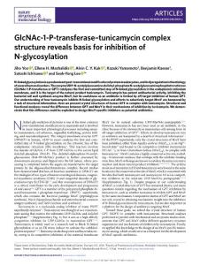 nsmb2018-GlcNAc-1-P-transferase–tunicamycin complex structure reveals basis for inhibition of N-glycosylation