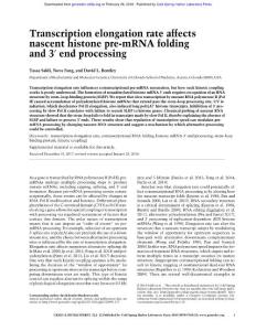 Genes Dev.-2018-Saldi-Transcription elongation rate affects nascent histone pre-mRNA folding and 3′ end processing