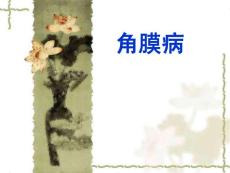 角膜病 ppt课件