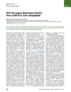 SCF-E3-Ligase-Substrates-Switch-from-CAN-D-to-Can-ubiquity_2018_Molecular-Ce