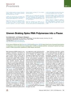 Uneven-Braking-Spins-RNA-Polymerase-into-a-Pause_2018_Molecular-Cell