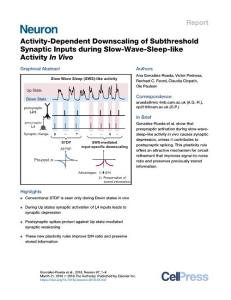 Activity-Dependent-Downscaling-of-Subthreshold-Synaptic-Inputs-duri_2018_Neu