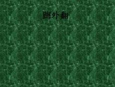 拇外翻ppt课件