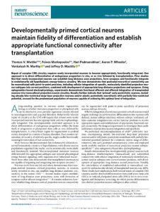 nn.2018-Developmentally primed cortical neurons maintain fidelity of differentiation and establish appropriate functional connectivity after transplantation