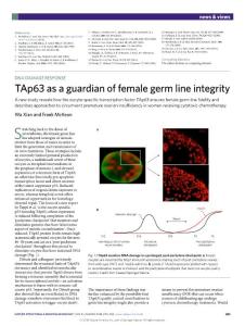 nsmb.2018-TAp63 as a guardian of female germ line integrity