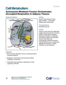 Actomyosin-Mediated-Tension-Orchestrates-Uncoupled-Respirati_2018_Cell-Metab