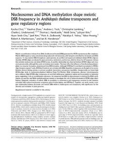 Genome Res.-2018-Choi-Nucleosomes and DNA methylation shape meiotic DSB frequency in Arabidopsis thaliana transposons and gene regulatory regions