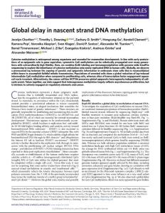 nsmb.2018-Global delay in nascent strand DNA methylation