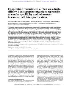 Genes Dev.-2018-Boisclair Lachance-Cooperative recruitment of Yan via a high- affinity ETS supersite organizes repression to confer specificity and robustness to cardiac cell fate specification