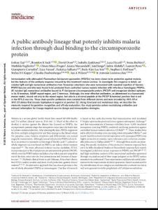 nm.2018-A public antibody lineage that potently inhibits malaria infection through dual binding to the circumsporozoite protein
