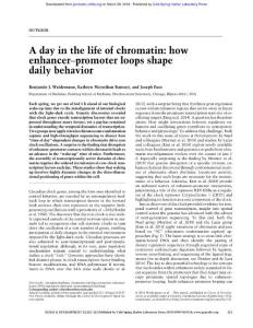 Genes Dev.-2018-Weidemann-321-3- A day in the life of chromatin how enhancer–promoter loops shape daily behavior