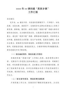 鄉(xiāng)鎮(zhèn)創(chuàng)建“美麗鄉(xiāng)鎮(zhèn)”工作匯報018