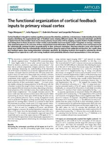nn.2018-The functional organization of cortical feedback inputs to primary visual cortex