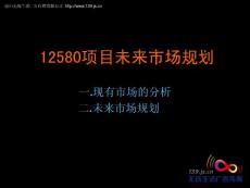 12580项目分析