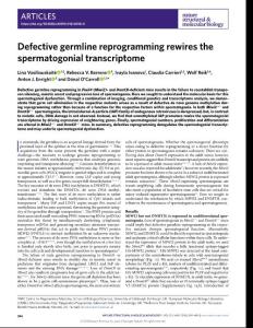 nsmb.2018-Defective germline reprogramming rewires the spermatogonial transcriptome