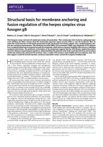 nsmb.2018-Structural basis for membrane anchoring and fusion regulation of the herpes simplex virus fusogen gB