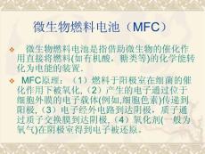微生物燃料电池（MFC）