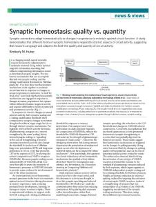 nn.2018-Synaptic homeostasis- quality vs. quantity