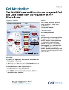 The-BCKDH-Kinase-and-Phosphatase-Integrate-BCAA-and-Lipid-Meta_2018_Cell-Met