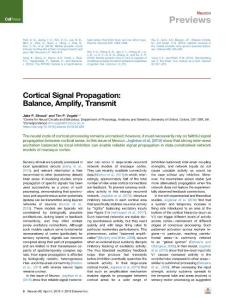 Cortical-Signal-Propagation--Balance--Amplify--Transmit_2018_Neuron