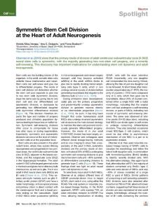 Symmetric-Stem-Cell-Division-at-the-Heart-of-Adult-Neurogenesis_2018_Neuron
