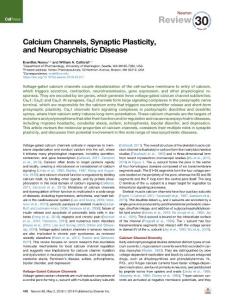 Calcium-Channels--Synaptic-Plasticity--and-Neuropsychiatric-Disea_2018_Neuro