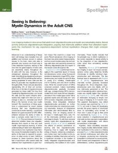 Seeing-Is-Believing--Myelin-Dynamics-in-the-Adult-CNS_2018_Neuron