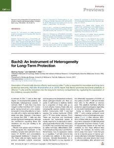 Bach2--An-Instrument-of-Heterogeneity-for-Long-Term-Protection_2018_Immunity