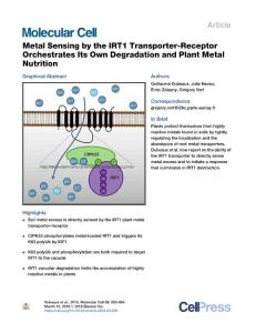 Metal-Sensing-by-the-IRT1-Transporter-Receptor-Orchestrates-It_2018_Molecula