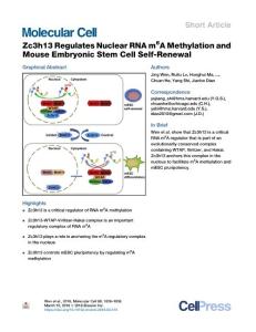 Zc3h13-Regulates-Nuclear-RNA-m6A-Methylation-and-Mouse-Embryo_2018_Molecular