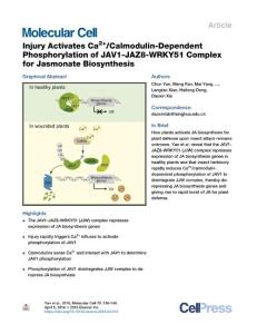 Injury-Activates-Ca2--Calmodulin-Dependent-Phosphorylation-of-J_2018_Molecul