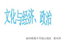 高一政治文化與經(jīng)濟(jì)政治課件