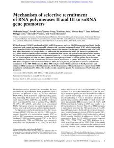 Genes Dev.-2018-Dergai-Mechanism of selective recruitment of RNA polymerases II and III to snRNA gene promoters